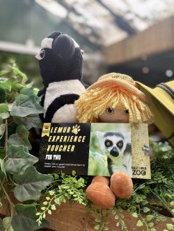 Lemur Experience Voucher for Two