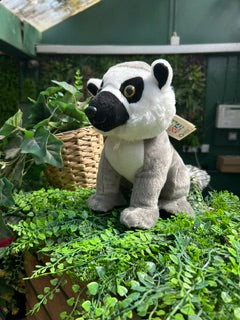 Ring-Tailed Lemur Plush Toy 25cm