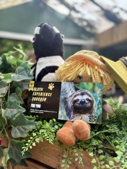 Sloth Experience Voucher for Two