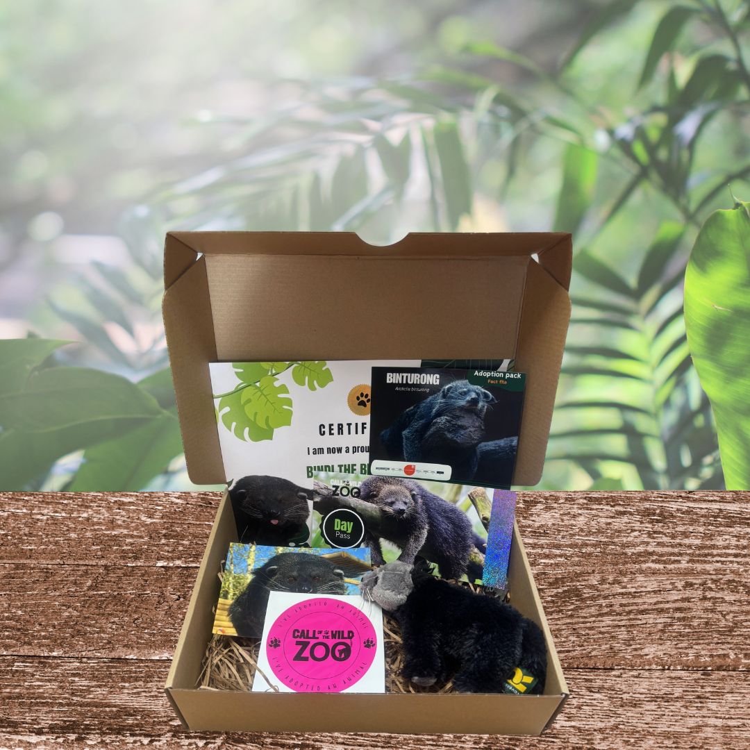 Binturong Adoption Pack