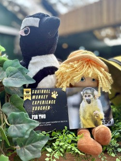 Squirrel Monkey Experience Voucher for Two