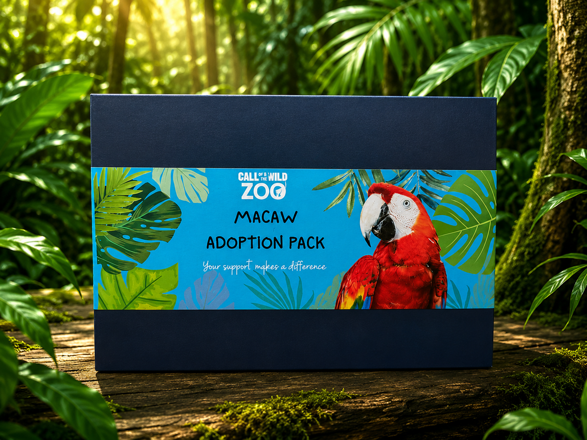Macaw Adoption Pack