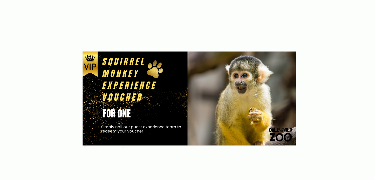 Squirrel Monkey Ultimate Gift - Adoption Pack & Experience Voucher