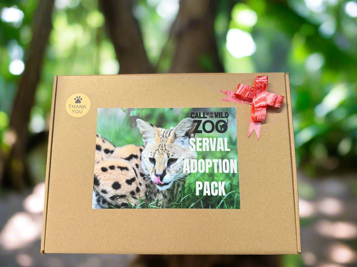 Serval Adoption Pack