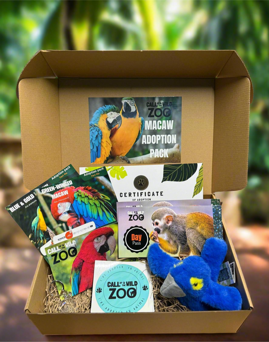 Macaw Adoption Pack