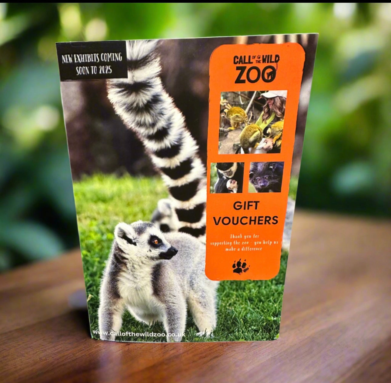 Lemur Experience for 1 Gift Voucher