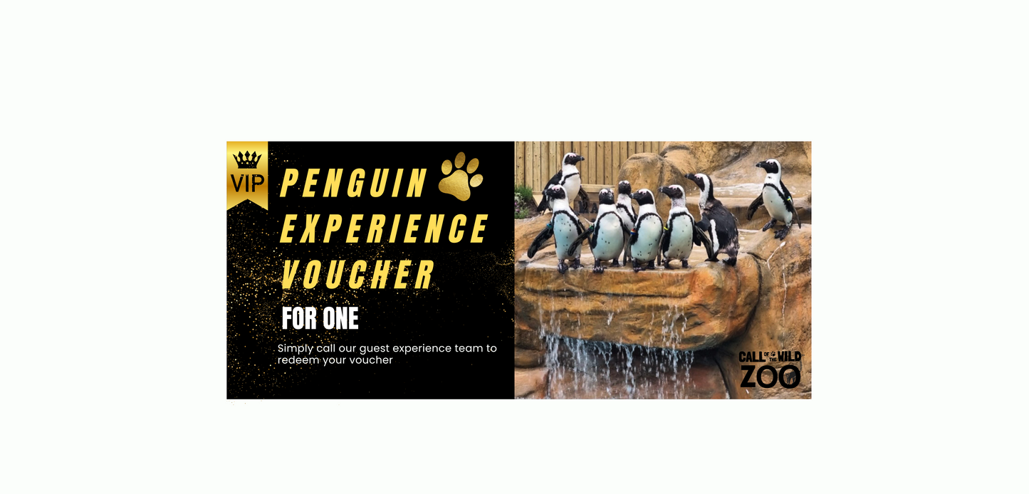 Penguin Experience Voucher for 1