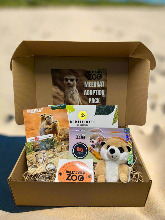 Meerkat Adoption Pack