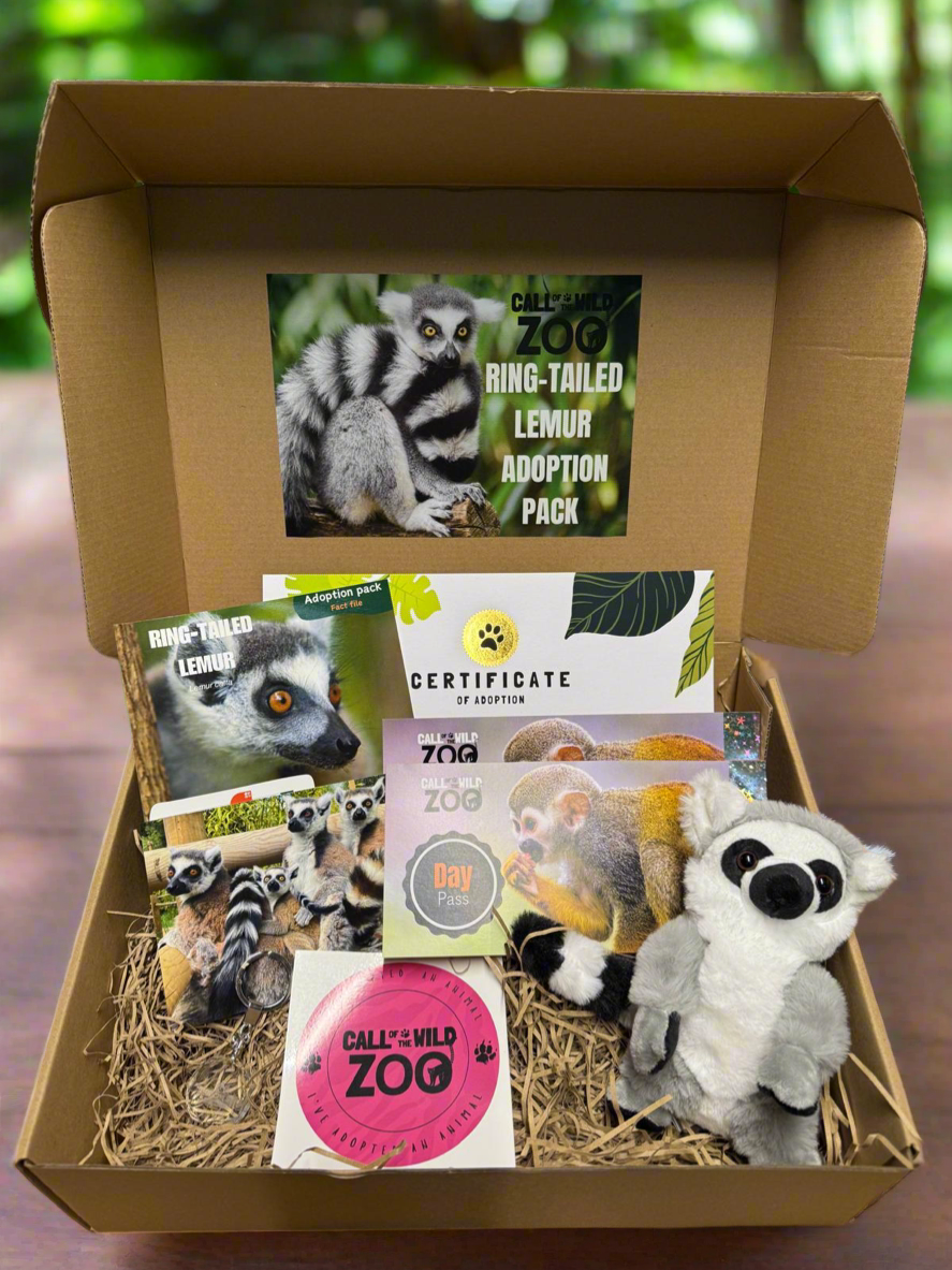 Ring-tailed Lemur Adoption Pack