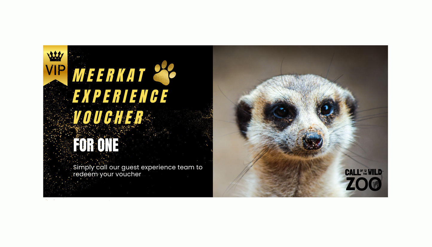 Meerkat Ultimate Gift - Adoption Pack and Experience Voucher for one