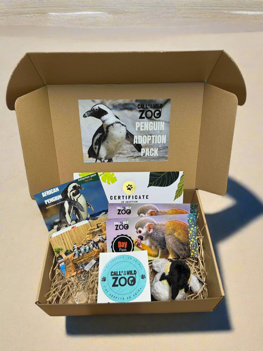 Penguin Adoption Pack