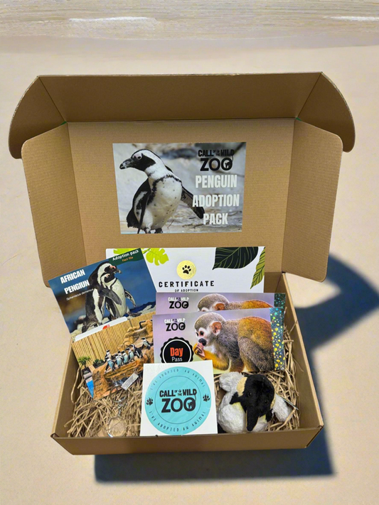 Penguin Adoption Pack