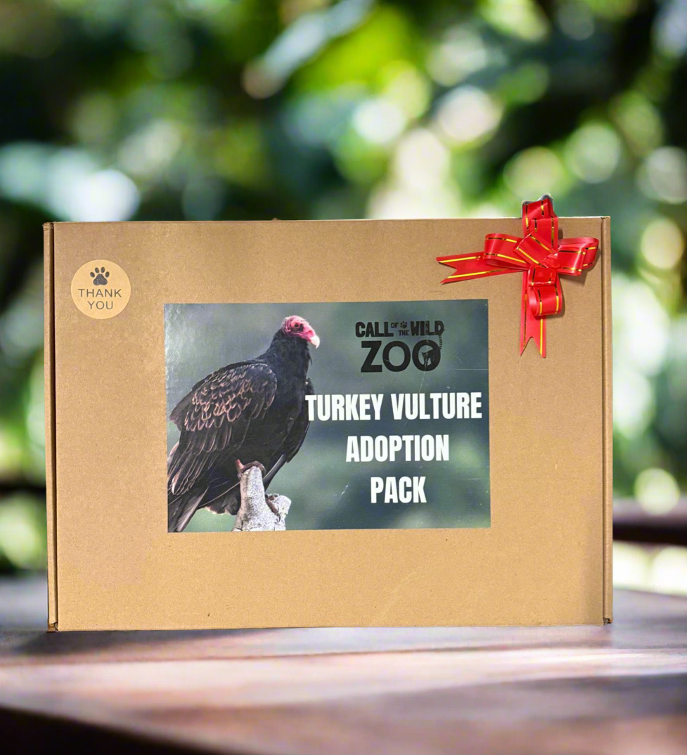 Turkey Vulture Adoption Pack