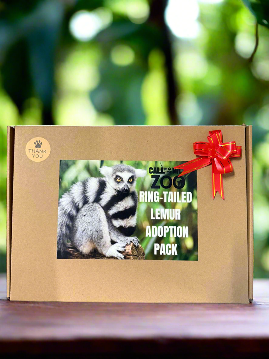 Ring-tailed Lemur Adoption Pack