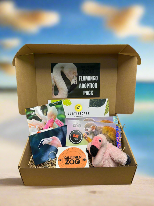 Flamingo Adoption Pack