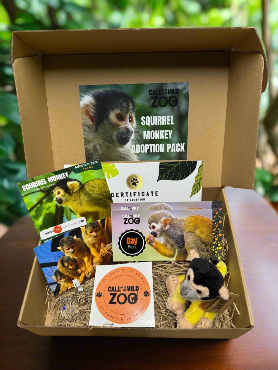 Squirrel Monkey Adoption Pack