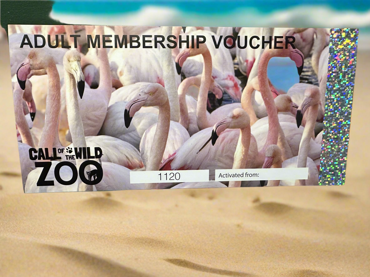 Adult Membership Voucher