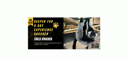 Keeper for the day Child Experience Voucher