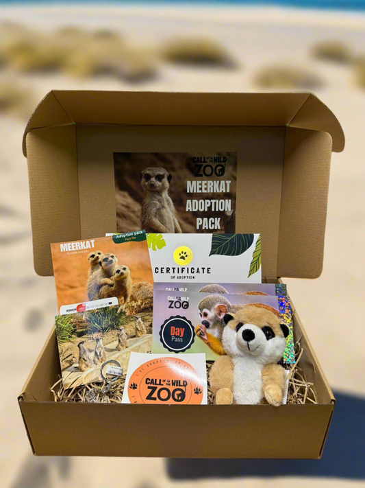 Meerkat Ultimate Gift - Adoption Pack and Experience Voucher for one