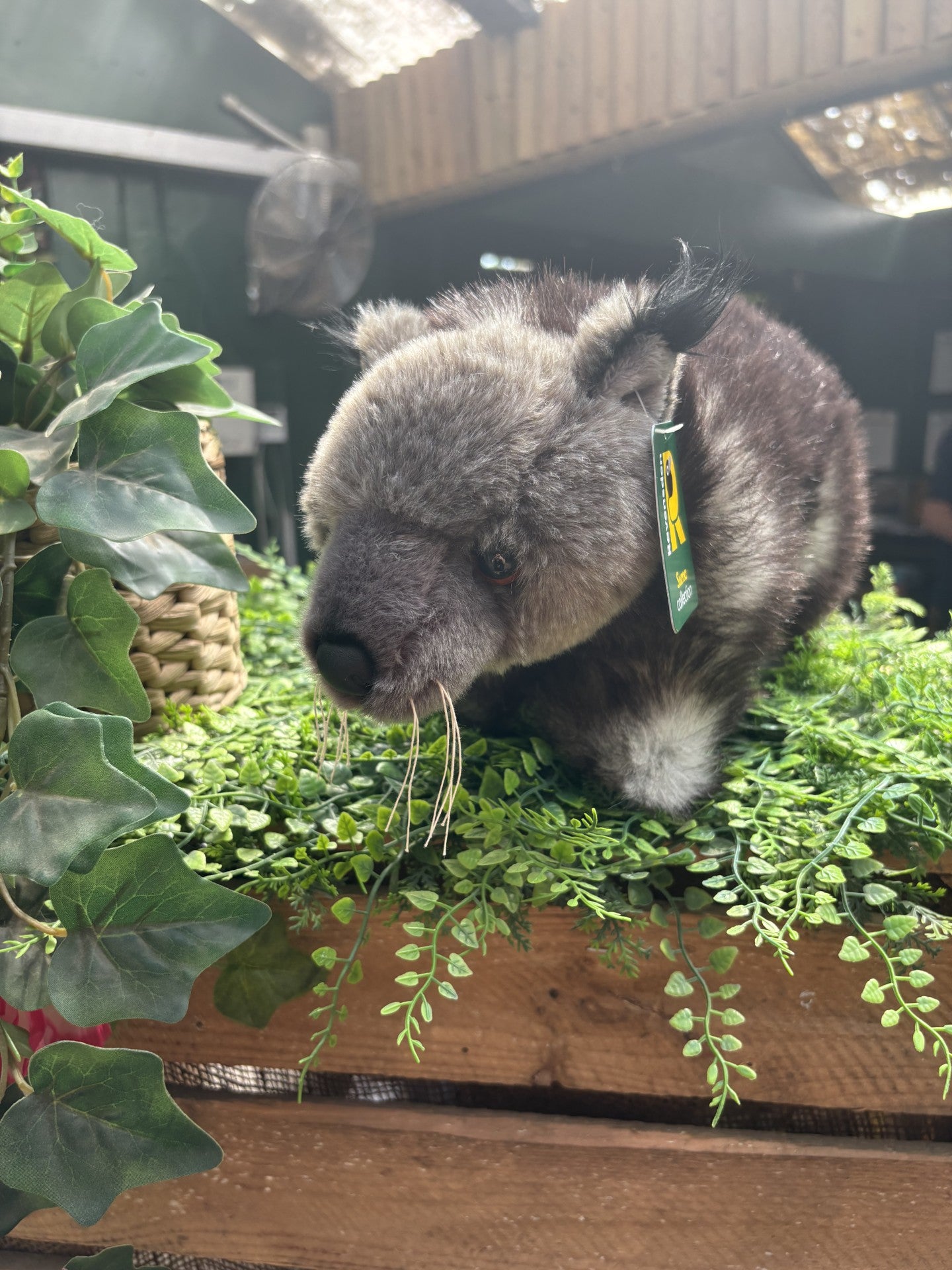 Large Binturong Plush
