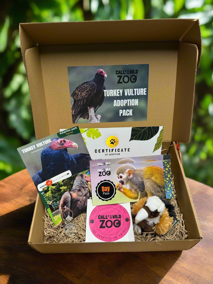 Turkey Vulture Adoption Pack