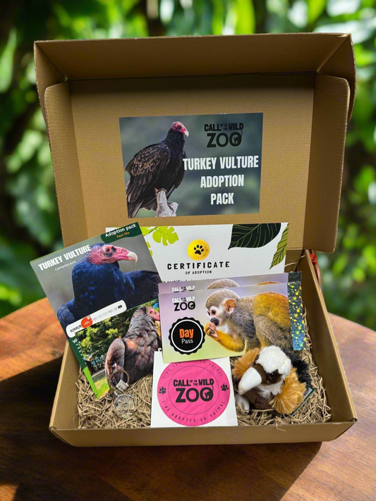 Turkey Vulture Adoption Pack