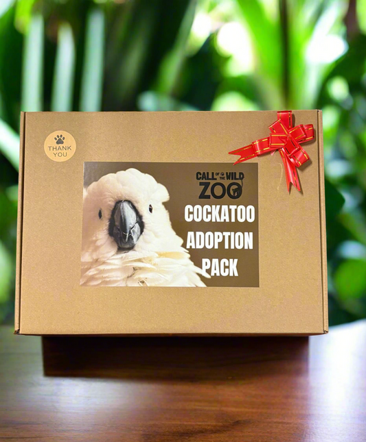 Cockatoo Adoption Pack