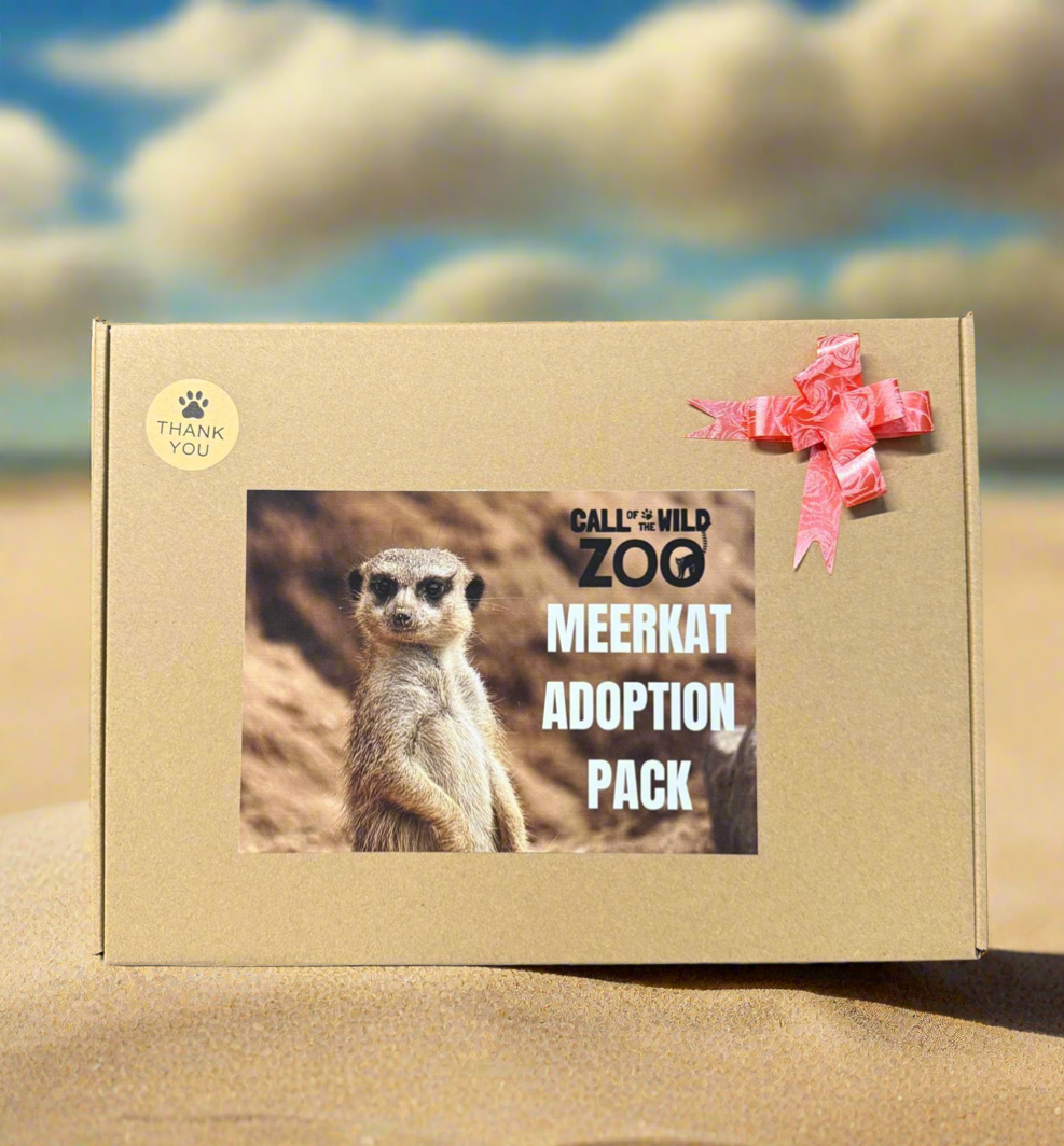 Meerkat Adoption Pack