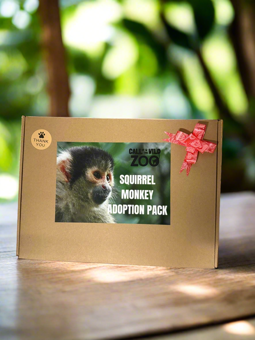 Squirrel Monkey Adoption Pack