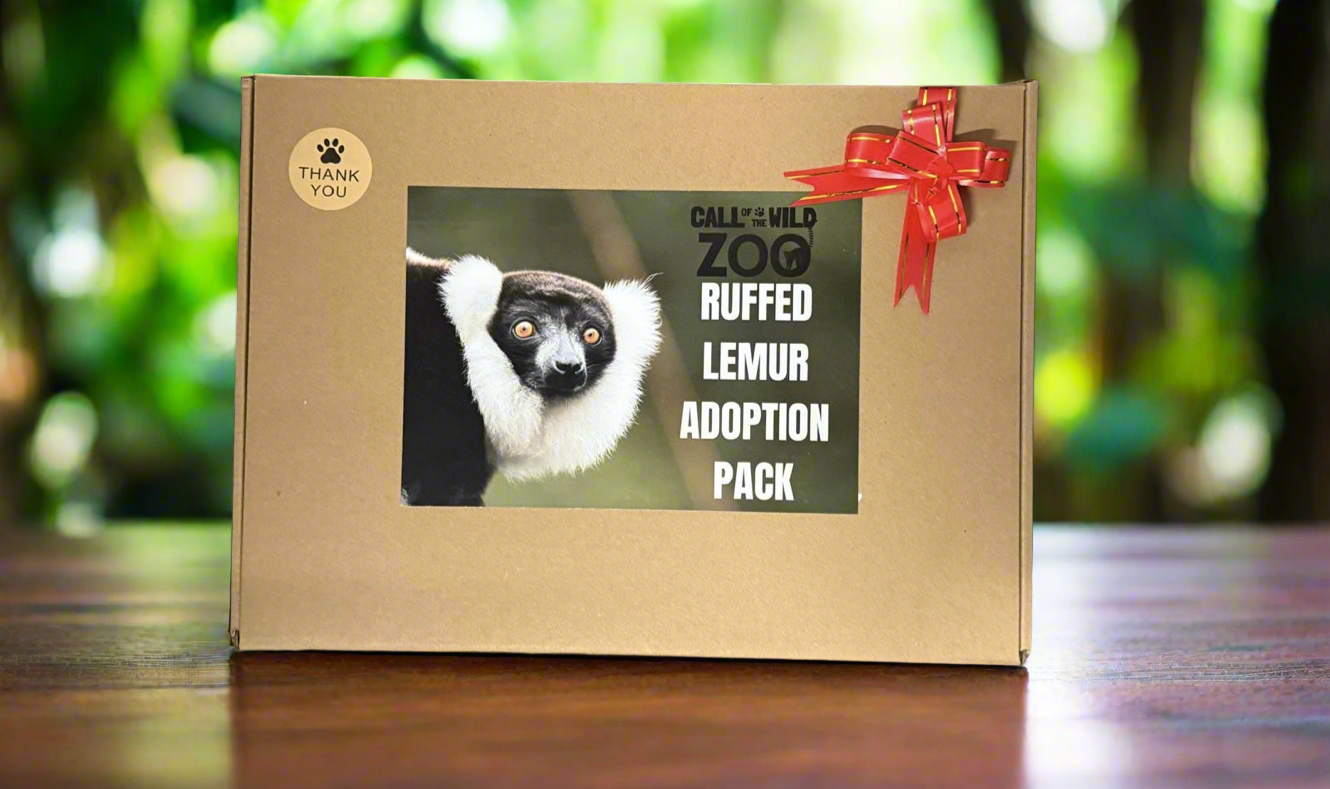 Ruffed Lemur Adoption Pack