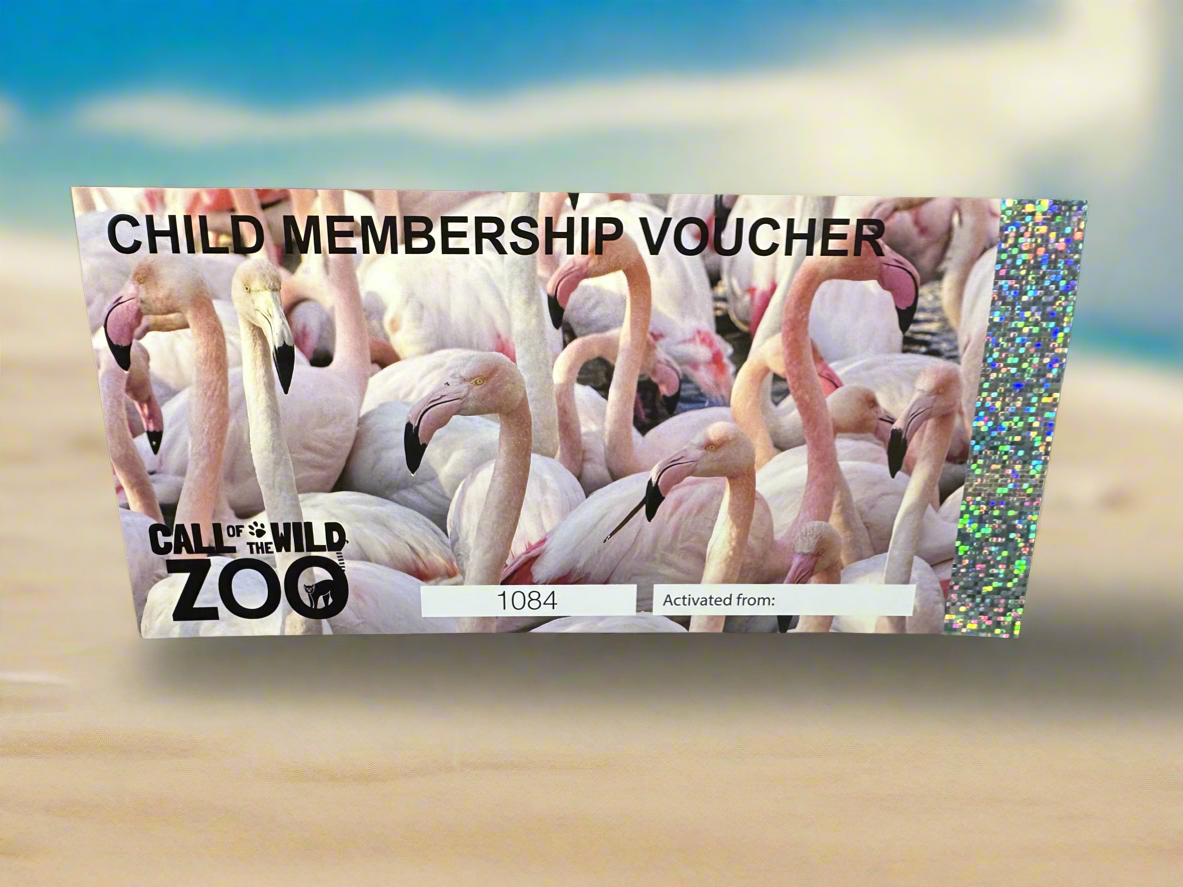 Child Membership Voucher