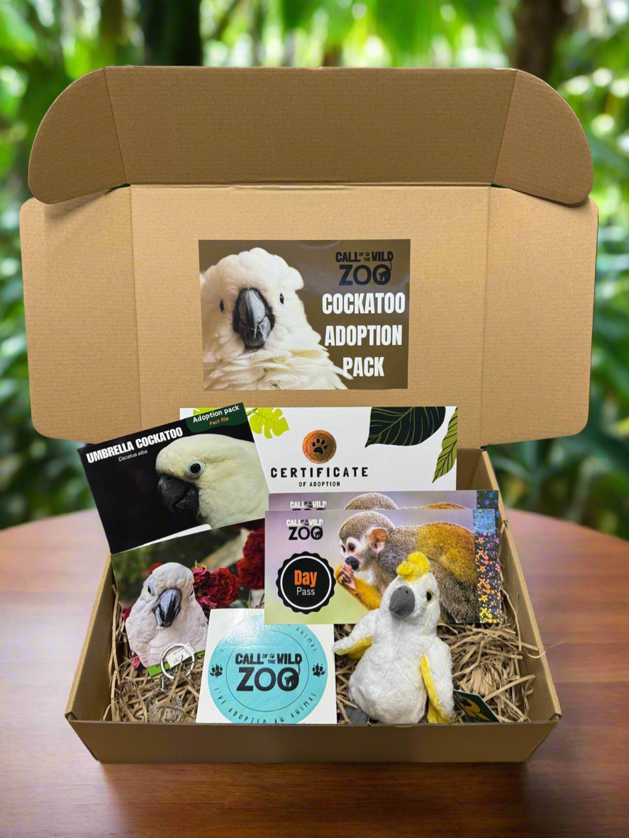 Cockatoo Adoption Pack