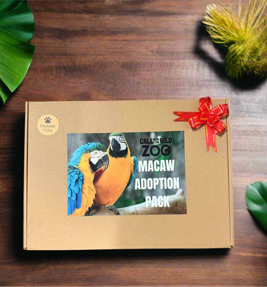 Macaw Adoption Pack