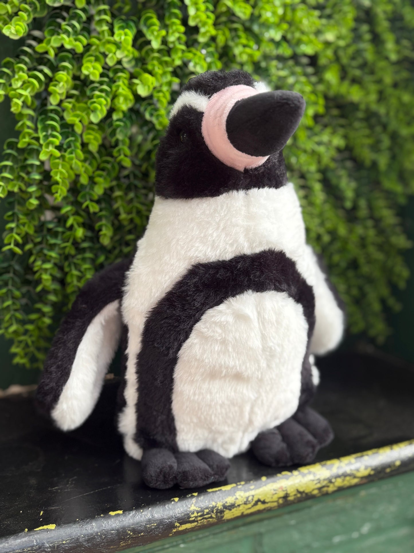 Penguin Plush 26cm