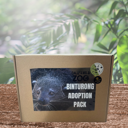 Binturong Adoption Pack