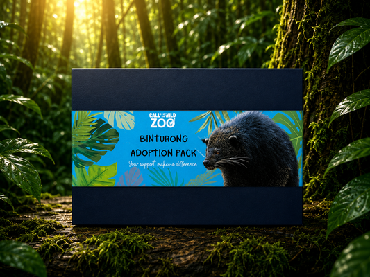 Binturong Adoption Pack