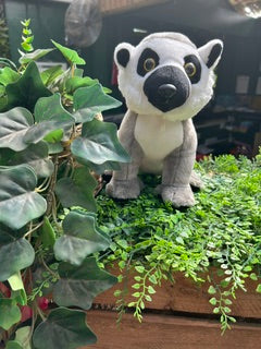 Ring-Tailed Lemur Plush Toy 25cm