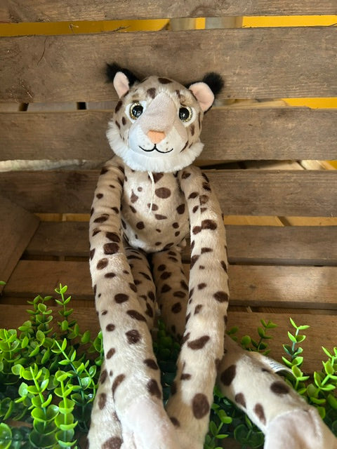 Lynx Glitter Eyes Tree Hugger