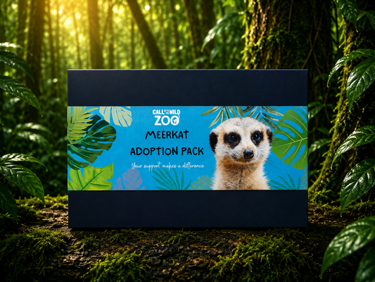 Meerkat Adoption Pack