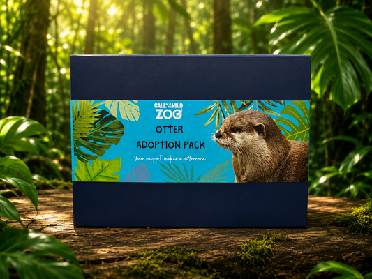 Otter Adoption Pack