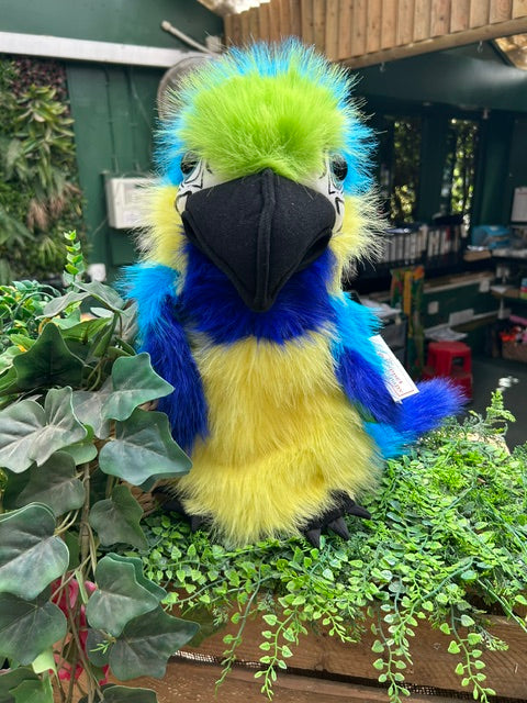 Blue & Gold Macaw Puppet