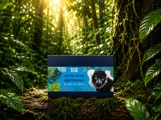 Ruffed Lemur Adoption Pack