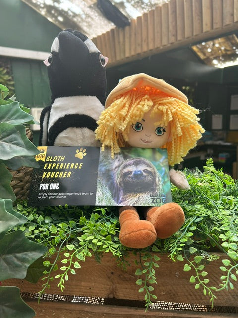 Sloth Experience Voucher for One