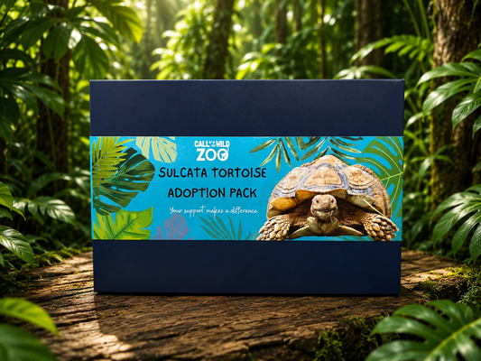 Sulcata Tortoise Adoption Pack