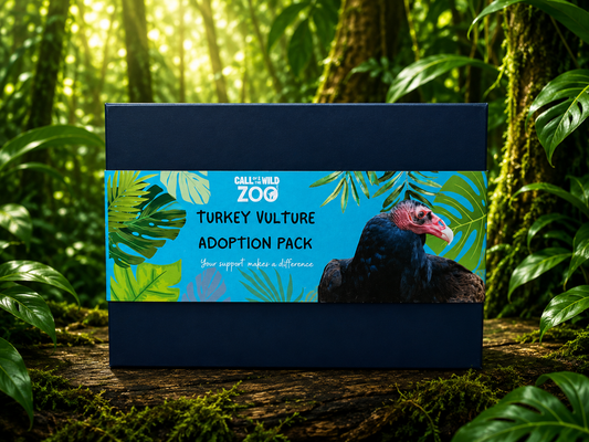 Turkey Vulture Adoption Pack