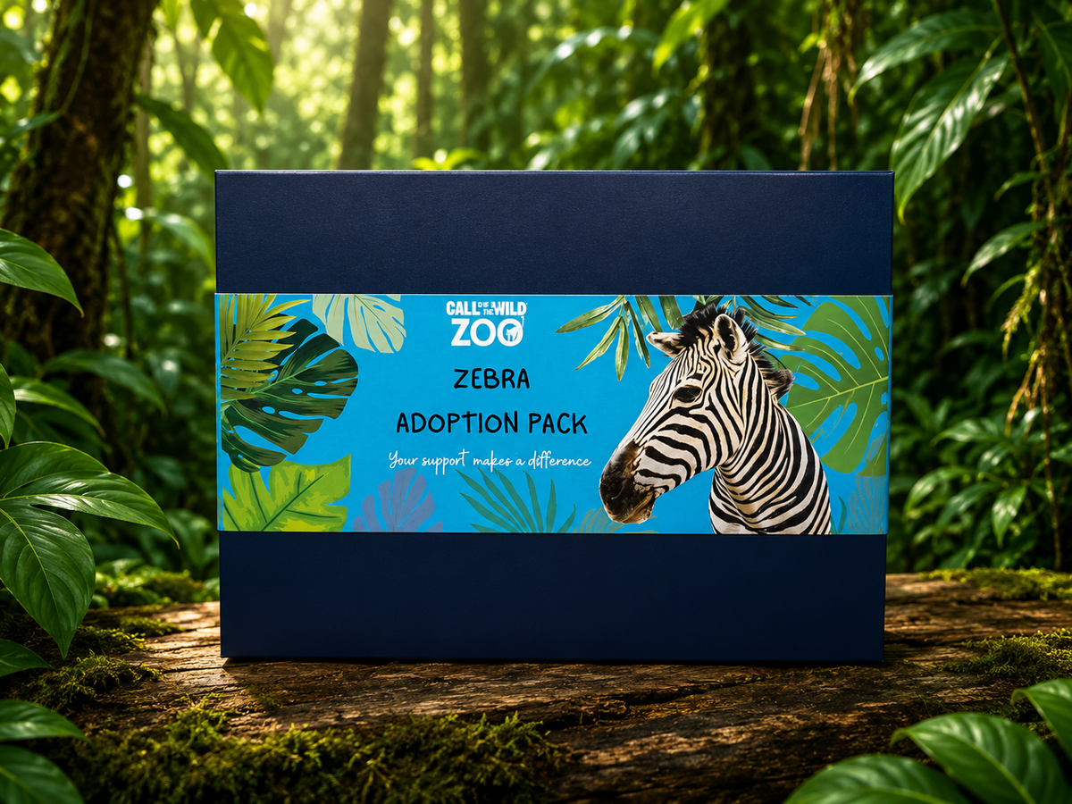 Zebra Adoption Pack